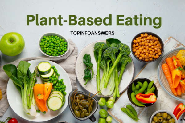 How to Incorporate More Plant-Based Meals into Your Diet