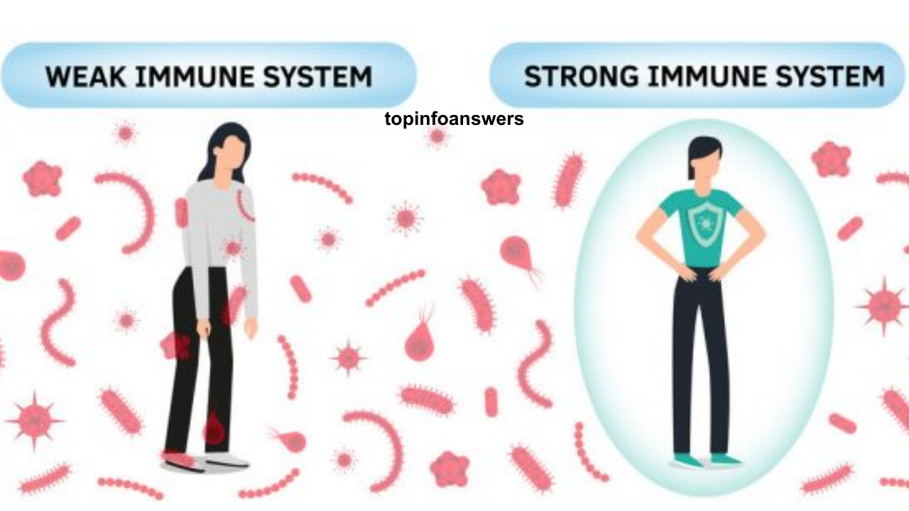 How to Prevent Illnesses with a Strong Immune System