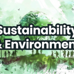 How to Incorporate Sustainability in K-12 Curriculum