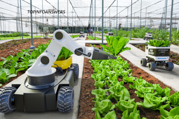 How Robotics Is Changing the Agriculture Industry