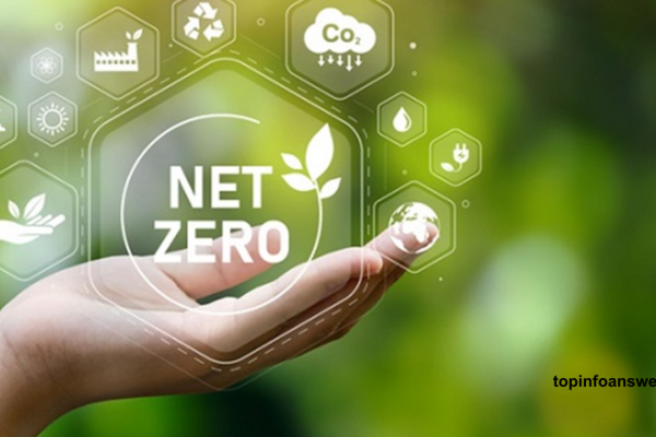 The Role of Tech in Achieving Net Zero Emissions by 2050