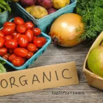 The Top Benefits of Eating Organic Food