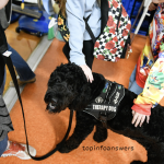 Why Emotional Support Animals Are Beneficial in Schools