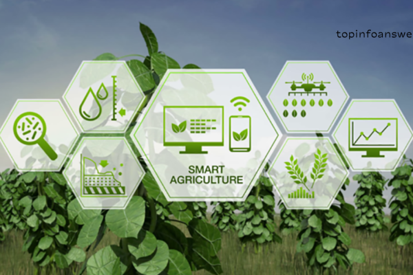 How IoT is Improving Agricultural Practices and Food Security