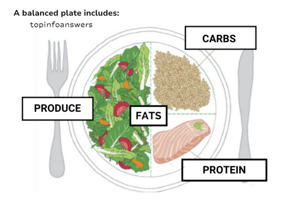 How to Build a Balanced Plate for Every Meal